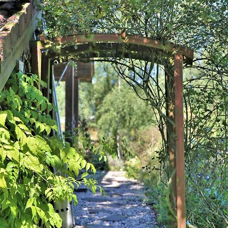 Villa Norwegisches Blockhaus Bad Muenstereifel Exterior foto
